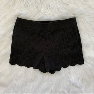 Ann Taylor Loft “The Riviera” Short